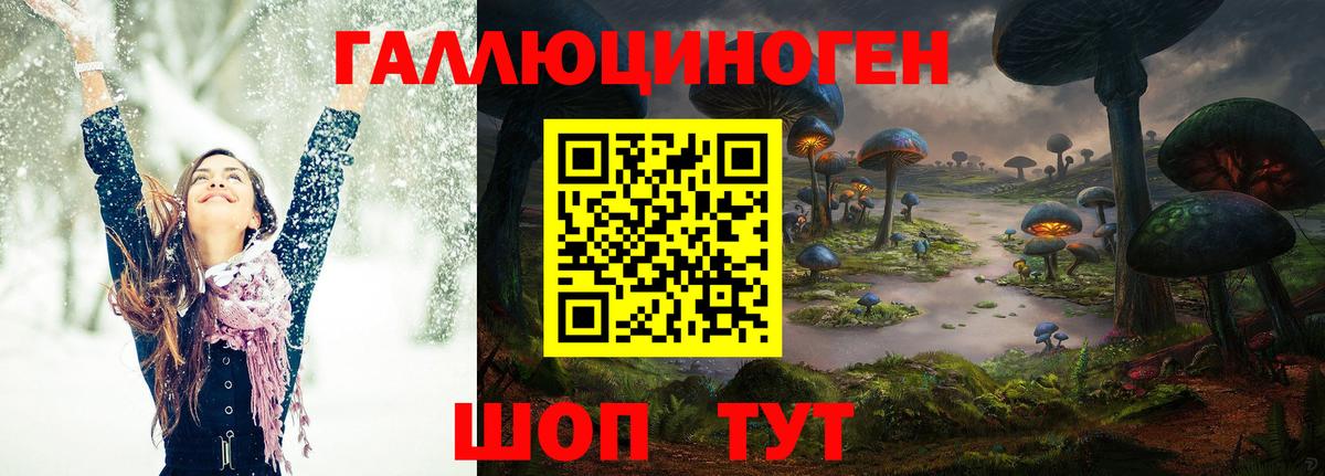 Галлюциногенные грибы прущие грибы  Вход с VPN  закладка  Галлюциногенные грибы GOLDEN TEACHER  Отрадный 